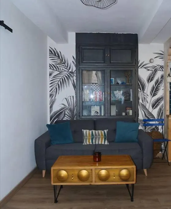 Petit Appart Atypique Apartment Nice 0*,